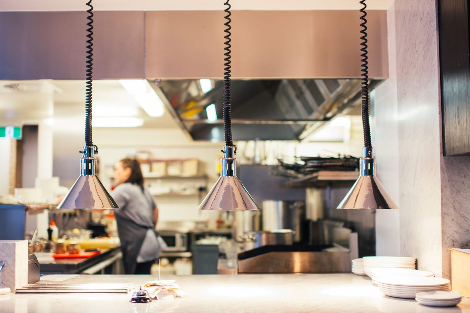Restaurant Pest Control